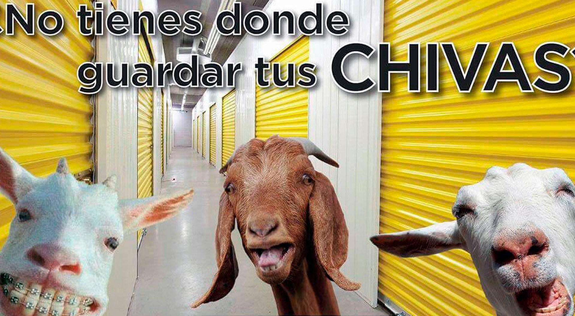 image guarda tus chivas